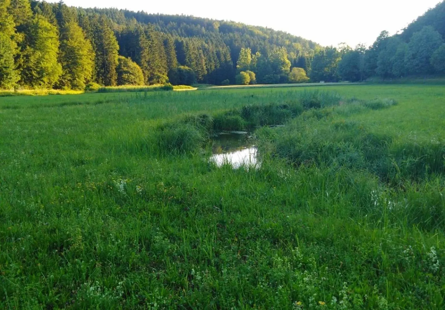 Apartment Ferienhaus Am Bach - Deuerling